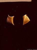 Front view of both gold-tone fan earrings