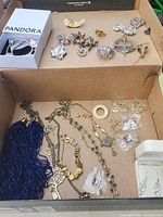 Entire lot inside cardboard box showing bracelets, brooches, necklaces and earrings