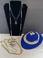 Photo showing three long necklaces on a black display stand along with pairs of earrings and brooches arranged in front.