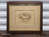 Front view of framed horse picture