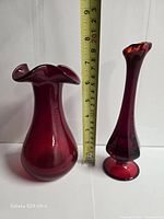 Both cranberry red glass vases standing with ruler for scale
