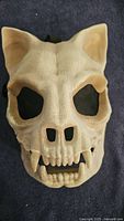 Front view of cat skull mask showing faux bone texture, eye cutouts, teeth detail