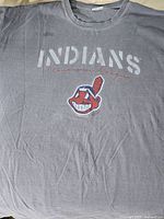 Full view of front graphic showing team name and logo