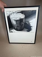 Full view of the framed photograph leaning against wall, showing the tree stump image