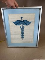 Full frontal photo showing the framed cross-stitch embroidery of the Caduceus symbol with visible metal frame and light blue matting.