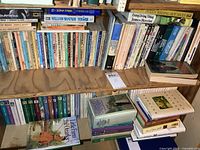 Overview of two shelves and stacked books showing variety of titles and formats