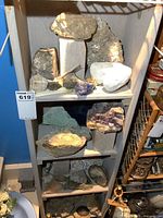 Tall shelving unit with multiple shelves holding assorted rocks, minerals and coral