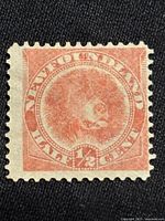 Front of 1887 Newfoundland half cent rose red dog stamp