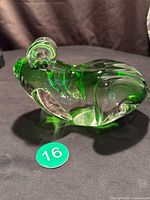 Side view of green glass frog showing body shape and color