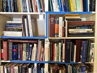 Photo of upper shelves showing a diverse collection of hardcover and paperback books, featuring literature and history titles.