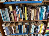 Books on wooden shelf showing a range of hardcover and paperback fiction and non-fiction titles including works by Daniel Silva, Paul Scott, Carol Shields, and John Updike.