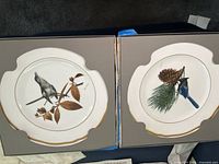 Two Ray Harm collector plates displayed in original box with protective holders.