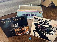 Vinyl records displayed outside and inside vintage-style storage case, including Steve Martin, Walt Disney's Peter Pan, and The Wiz albums showing moderate shelf wear and vintage aesthetic.