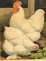 Close-up of the rooster and hen in the print, showing the detailed depiction of the birds and hay.