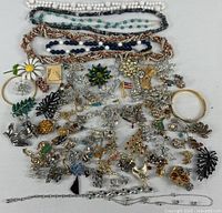 Full view of assorted costume jewelry including necklaces, pins, bracelets, and earrings laid out on white surface.
