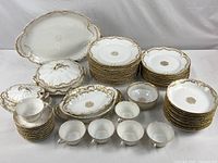 Overall lot arrangement showing dinner plates, bowls, cups, saucers and serving pieces.