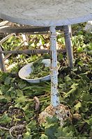 Full view of table showing stone top, iron pedestal and surrounding leaves