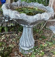 Full view of concrete bird bath showing pedestal and bowl