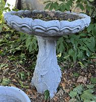 Full view of gray concrete bird bath with floral pedestal and scalloped basin