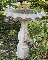 Full view of gray concrete bird bath, scalloped bowl, pedestal base