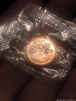 Reverse side of sealed 1-cent coin with maple leaves and year 1983 visible