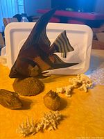 Group view showing carved fish on base, pufferfish, coral pieces and brown shell