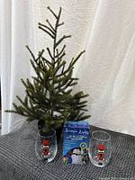 Full group shot of tree, light kit box and two glasses