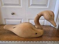 Side profile showing full body and ruler for scale