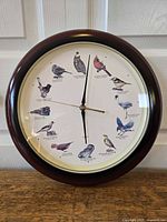 Front view of round Audubon bird clock showing frame and dial