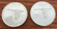 Photo showing both Canadian silver dollar coins side by side on a wooden surface.