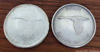 Pair of Canadian silver dollar goose coins from 1867-1967 showing front details on wooden surface, one worn and one better condition.