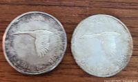 Two Canadian silver dollar coins with flying goose design, dated 1867-1967, on a wooden surface.