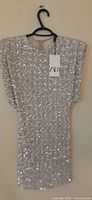 Front view of silver sequined Zara dress with tag visible