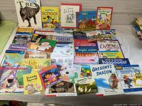 Overview of all 44 children’s books laid out on table
