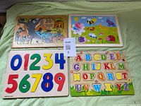 All four wooden puzzles laid out