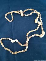 Full view of the sea shell necklace laid out showing length and shell variety