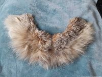 Front view of fox fur collar on blue surface