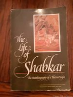 Front cover of paperback book showing title and artwork