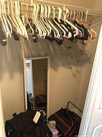 Closet view with hangers, mirror, luggage and shoe rack
