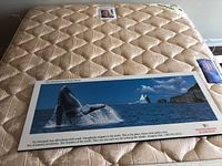 Full view of whale poster on mattress