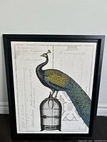Full view of framed peacock print on floor