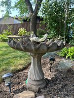 Full view of bird bath in garden setting