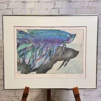 Front view of framed betta fish print