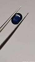 Oval cabochon blue sapphire gemstone held by tweezers showing deep blue color and smooth polished surface.