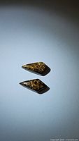 Top-down view of two bronzite fancy cut cabochons, showing shape and natural color patterns.