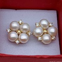 Close view of pair of pearl cluster stud earrings in box