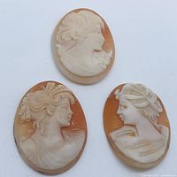 Front view of three shell cameos showing carved female profiles