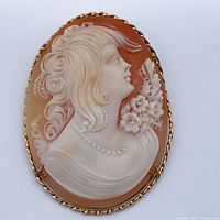 Front view of carved shell cameo in frame