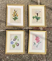 Full view of four framed prints laid out together