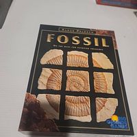 Front of Fossil game box showing title and fossil images